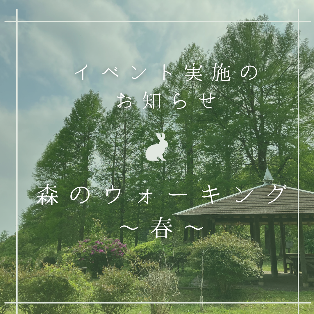 2202506011554220.png
