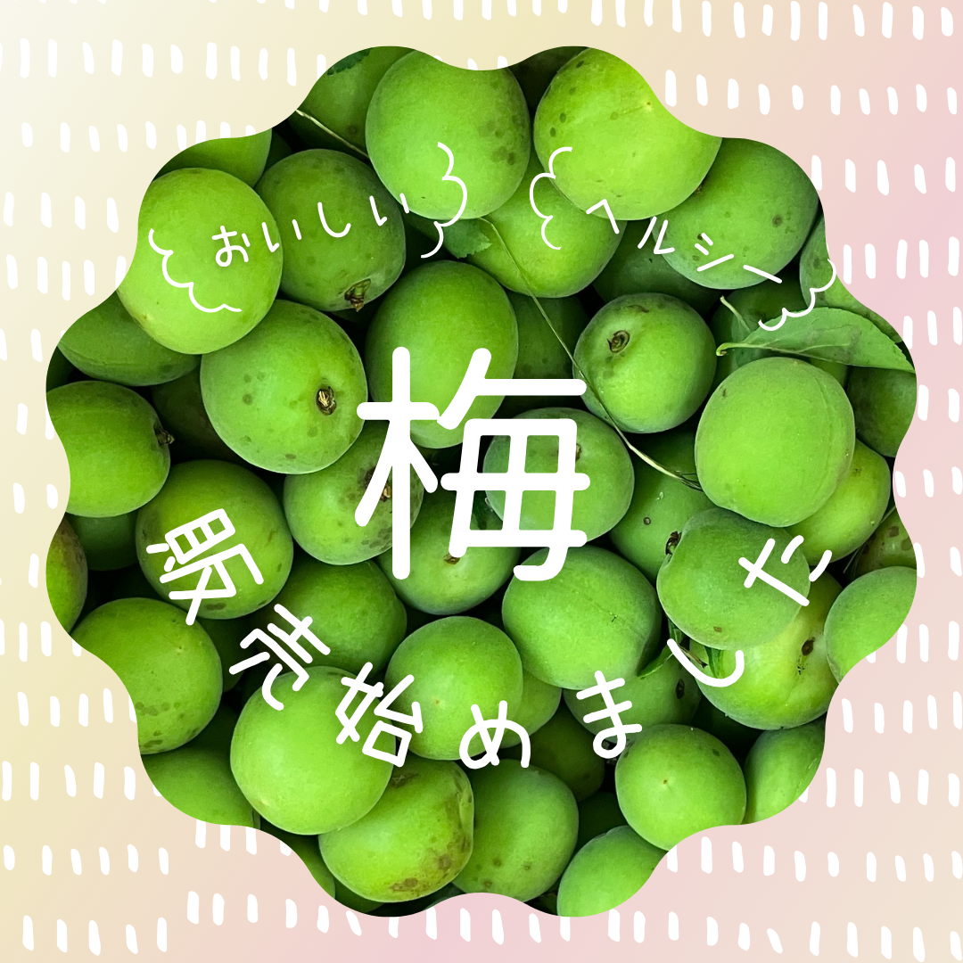 2202506021052320.png