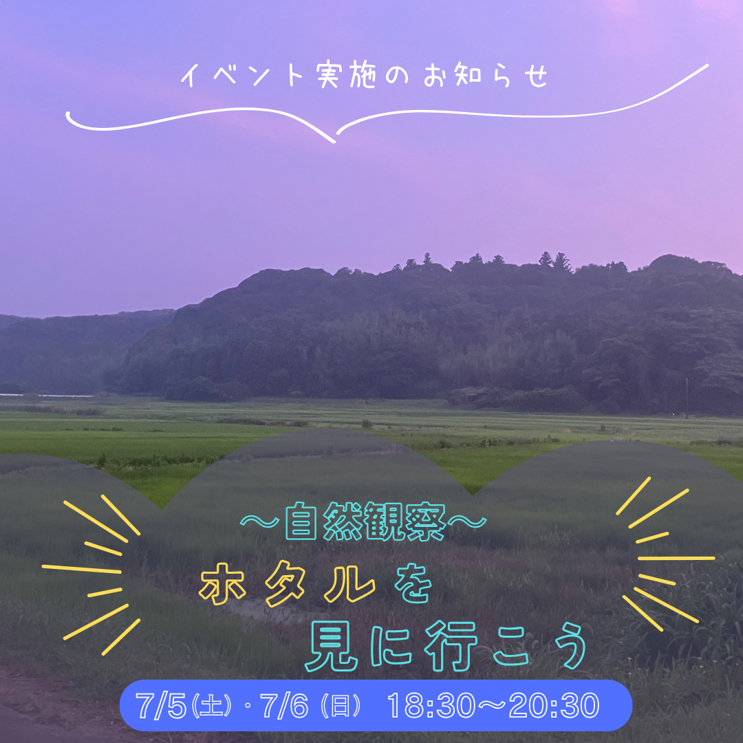 2202507080935490.png