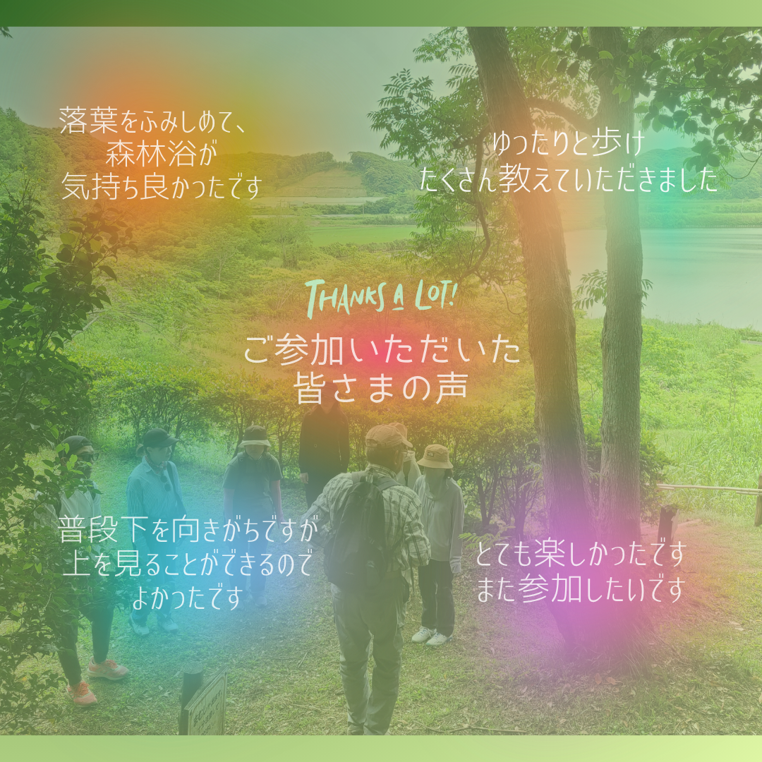 2202605311502590.png