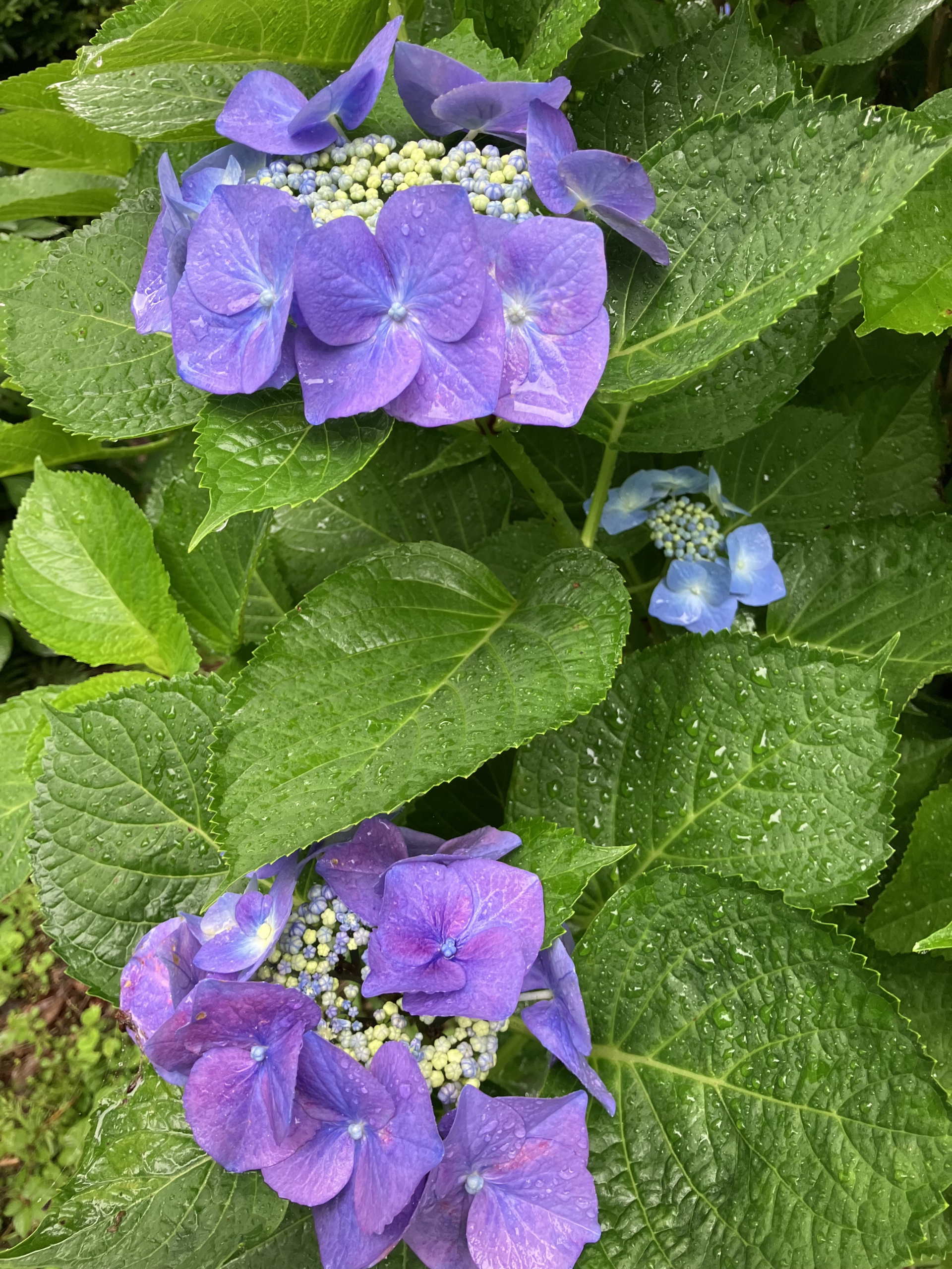2202606080933350.jpg